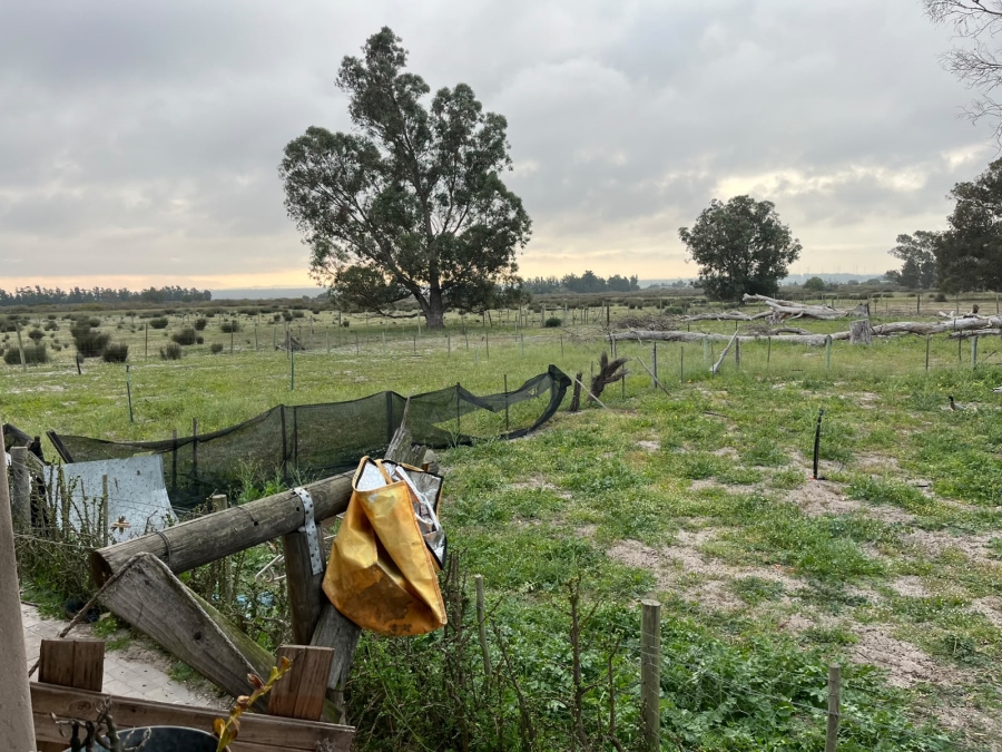 5 Bedroom Property for Sale in Hopefield Western Cape